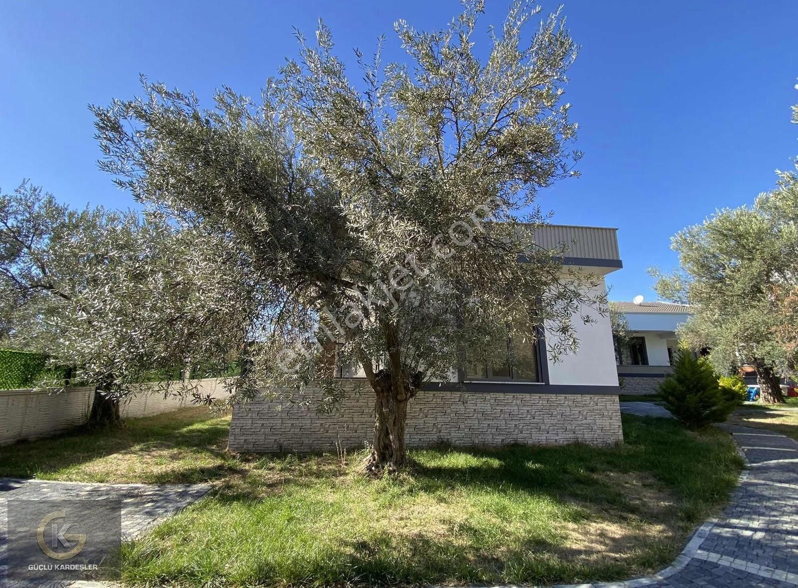 Güçlü Kardeşlerden Doğa İle İç İçe 4+1 Geniş Bahçeli Villalar - Görsel 16