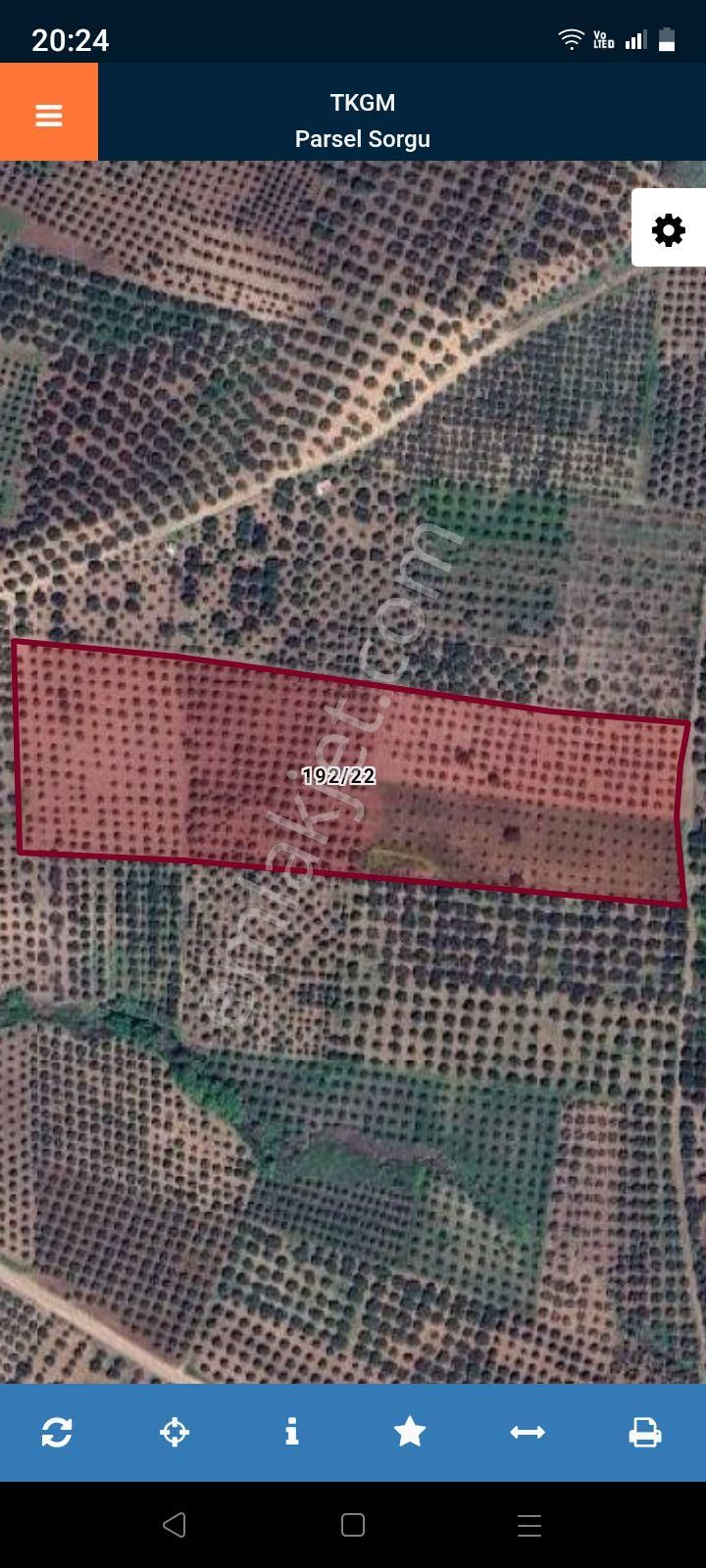 Aysu Konut Emlaktan Satilik Zeytinlik - Görsel 2