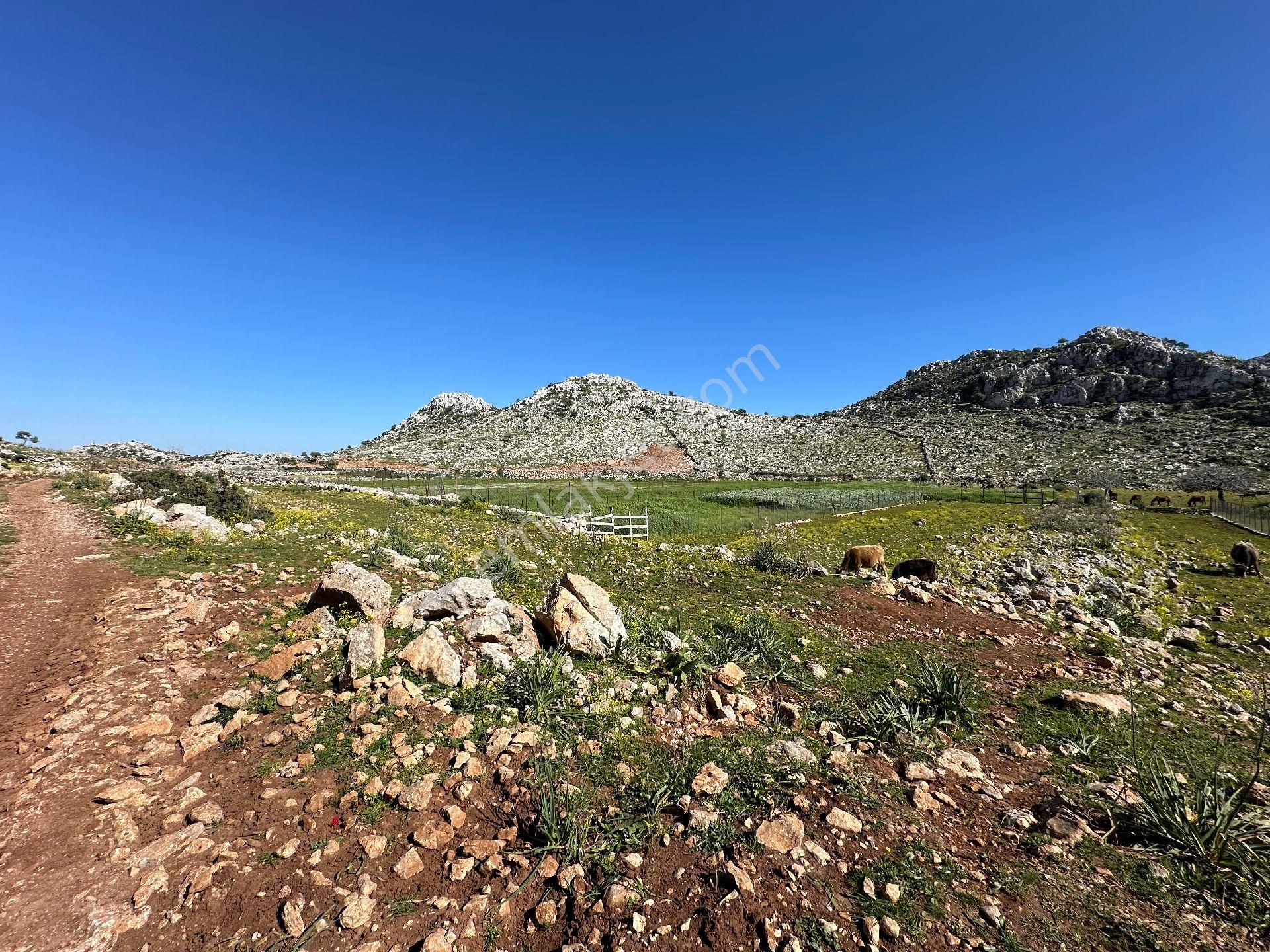 Joker: Marmaris Taşlıca Yol Cephe Tiny House Uygun Satılık - Görsel 8