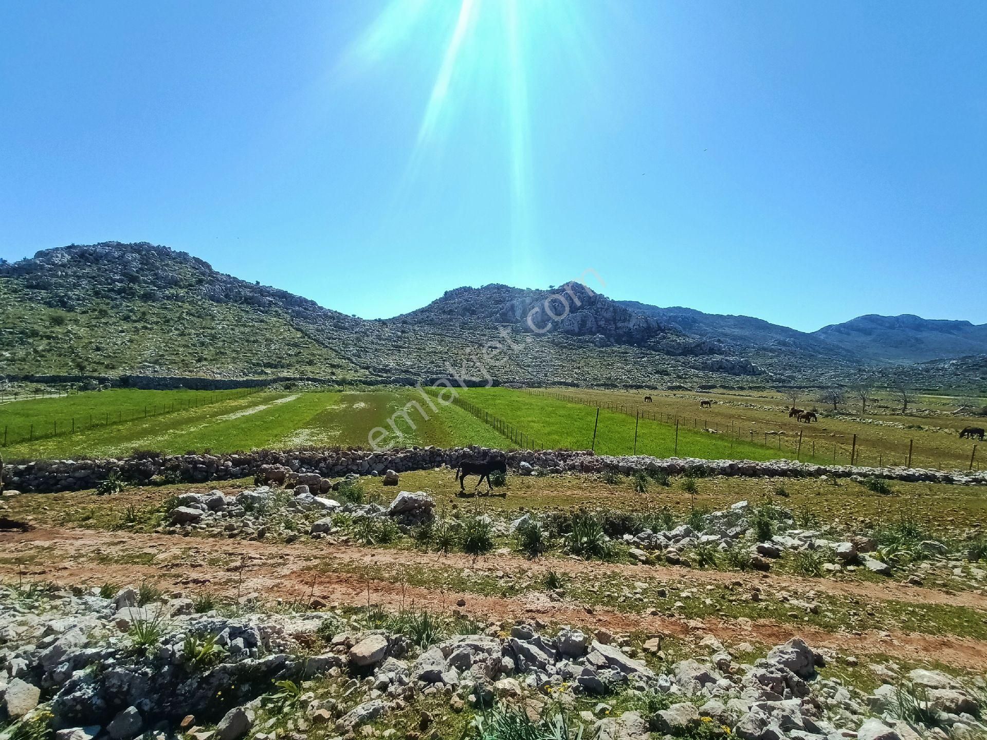 Joker: Marmaris Taşlıca Yol Cephe Tiny House Uygun Satılık