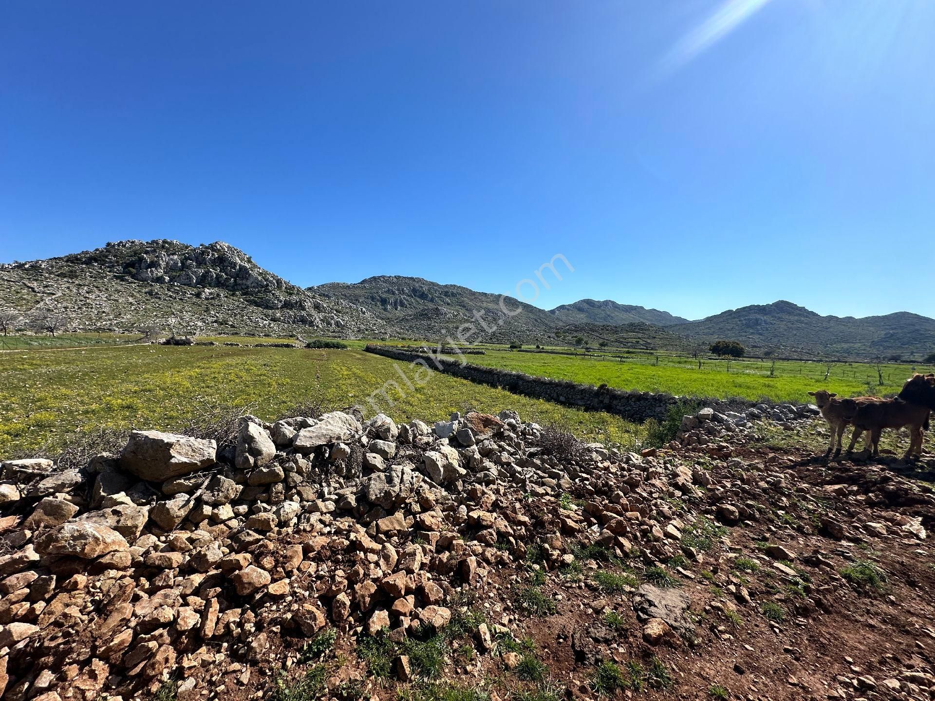 Joker: Marmaris Taşlıca Yol Cephe Tiny House Uygun Satılık - Görsel 11