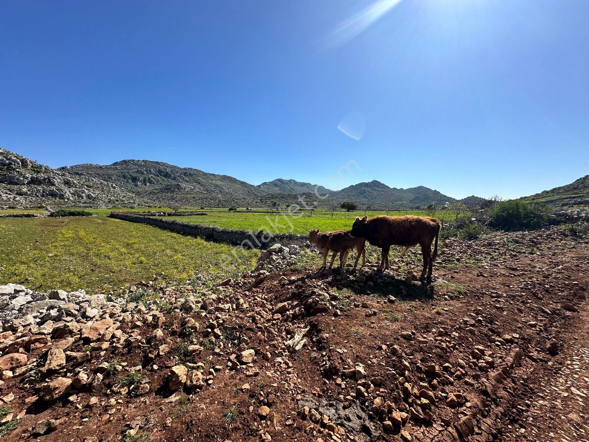 Joker: Marmaris Taşlıca Yol Cephe Tiny House Uygun Satılık - Görsel 10