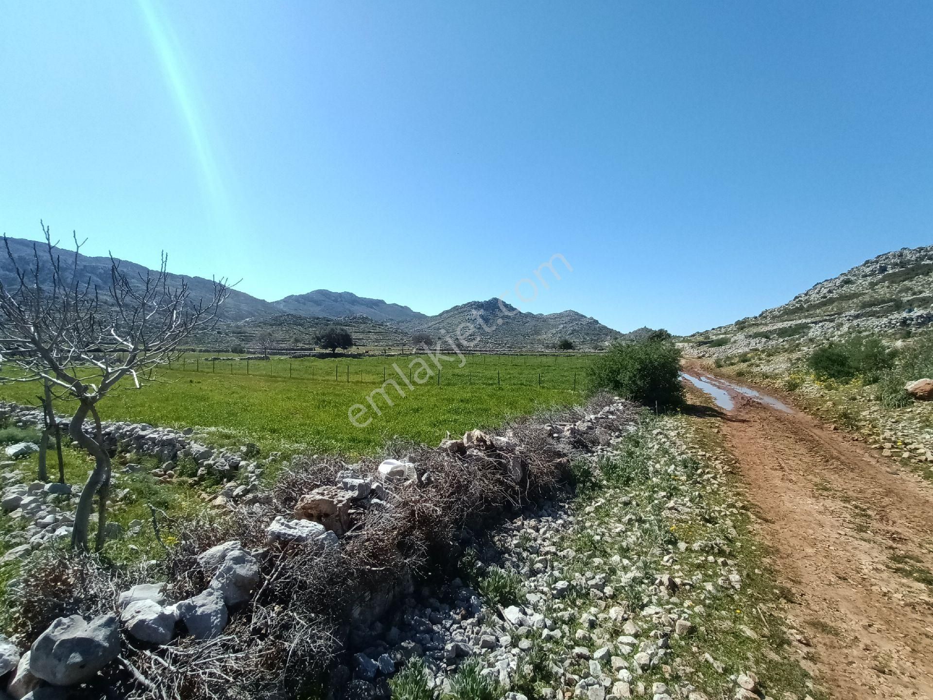 Joker: Marmaris Taşlıca Yol Cephe Tiny House Uygun Satılık - Görsel 6