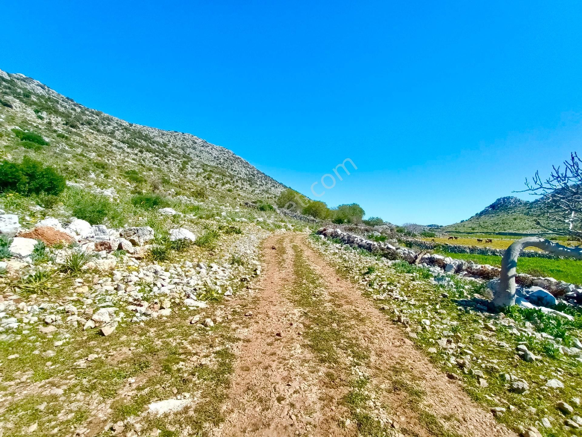 Joker: Marmaris Taşlıca Yol Cephe Tiny House Uygun Satılık - Görsel 3