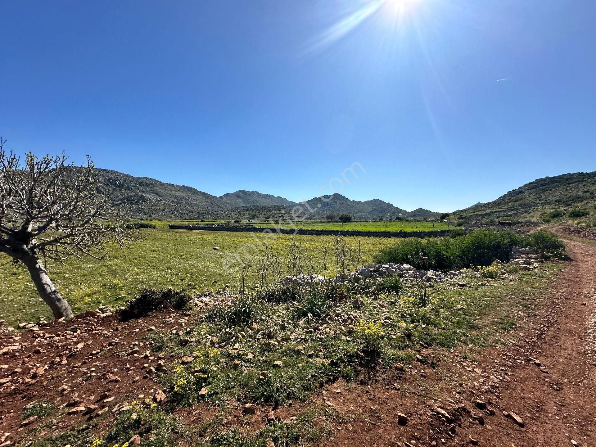 Joker: Marmaris Taşlıca Yol Cephe Tiny House Uygun Satılık - Görsel 9