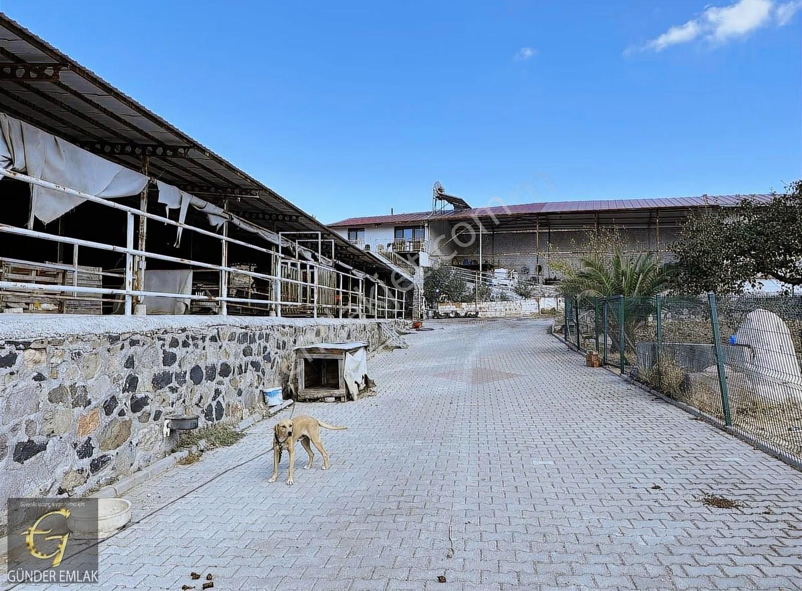 Aliağa Kapukaya Köyü Mevkiinde Satılık Çiftlik - Görsel 31