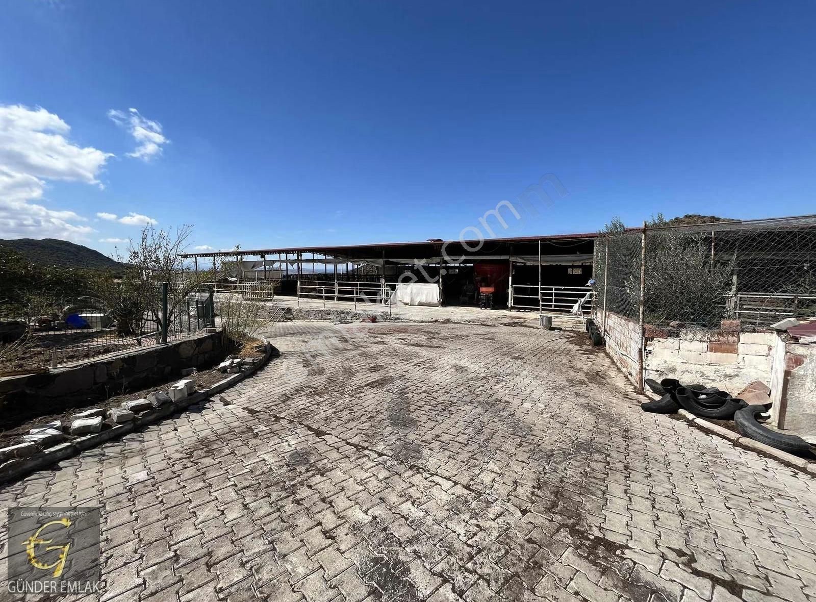 Aliağa Kapukaya Köyü Mevkiinde Satılık Çiftlik - Görsel 11