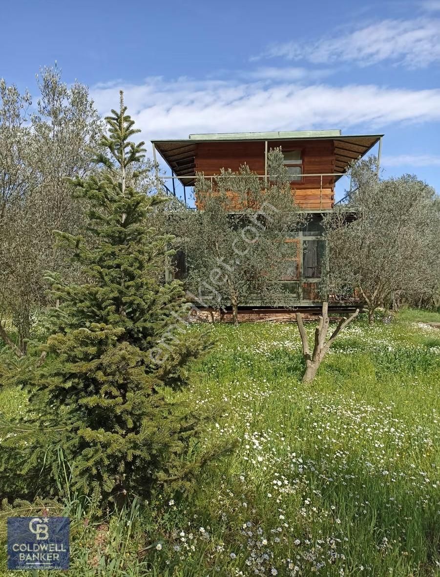 Menderes Coldwell Banker Poyraz'dan Tek Tapulu Zeytinlik - Görsel 26