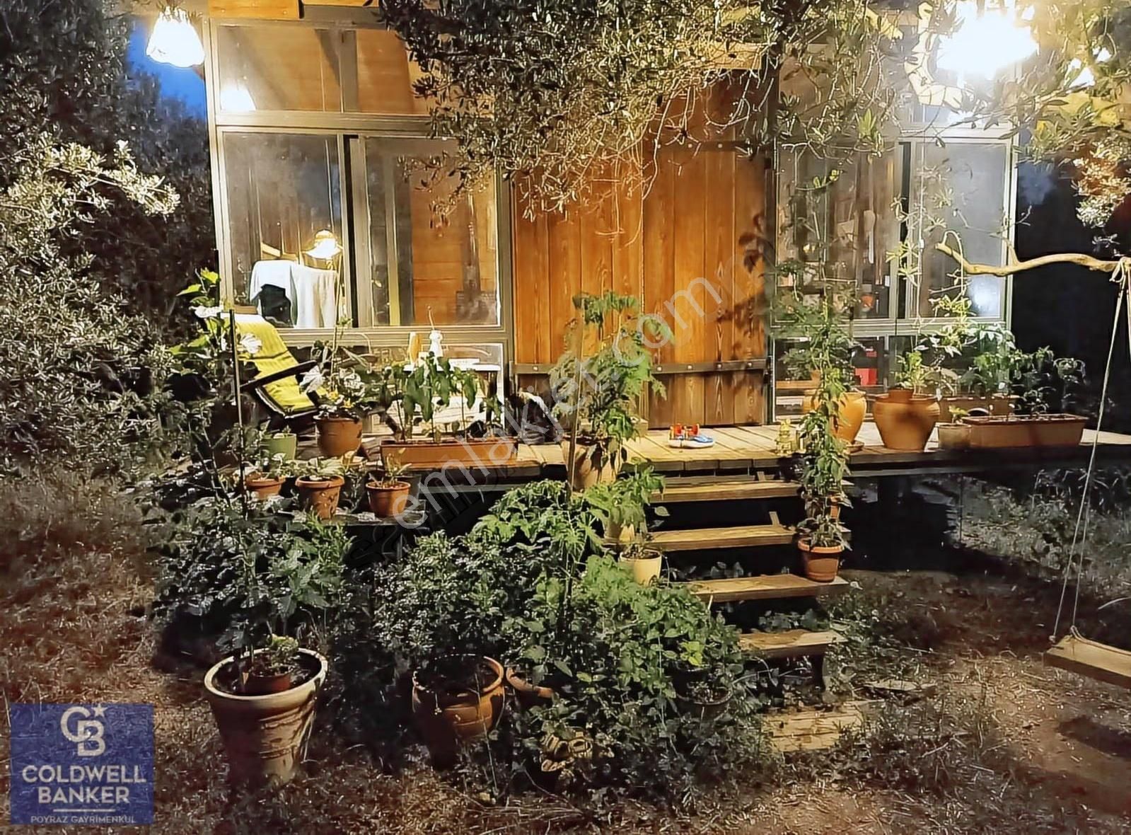 Menderes Coldwell Banker Poyraz'dan Tek Tapulu Zeytinlik - Görsel 25