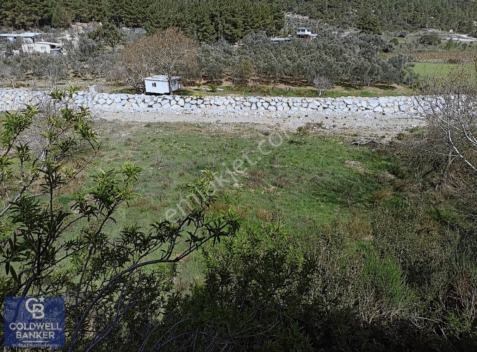 Menderes Coldwell Banker Poyraz'dan Tek Tapulu Zeytinlik - Görsel 24