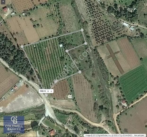 Menderes Coldwell Banker Poyraz'dan Tek Tapulu Zeytinlik - Görsel 13