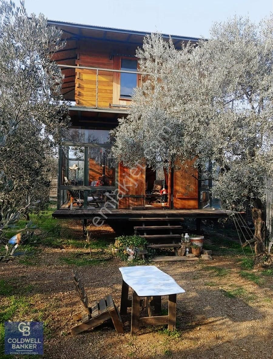 Menderes Coldwell Banker Poyraz'dan Tek Tapulu Zeytinlik - Görsel 16