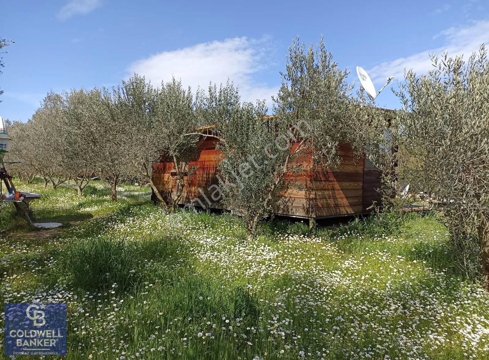 Menderes Coldwell Banker Poyraz'dan Tek Tapulu Zeytinlik - Görsel 29