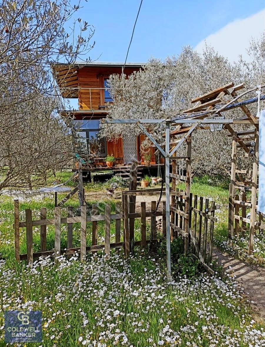 Menderes Coldwell Banker Poyraz'dan Tek Tapulu Zeytinlik - Görsel 11