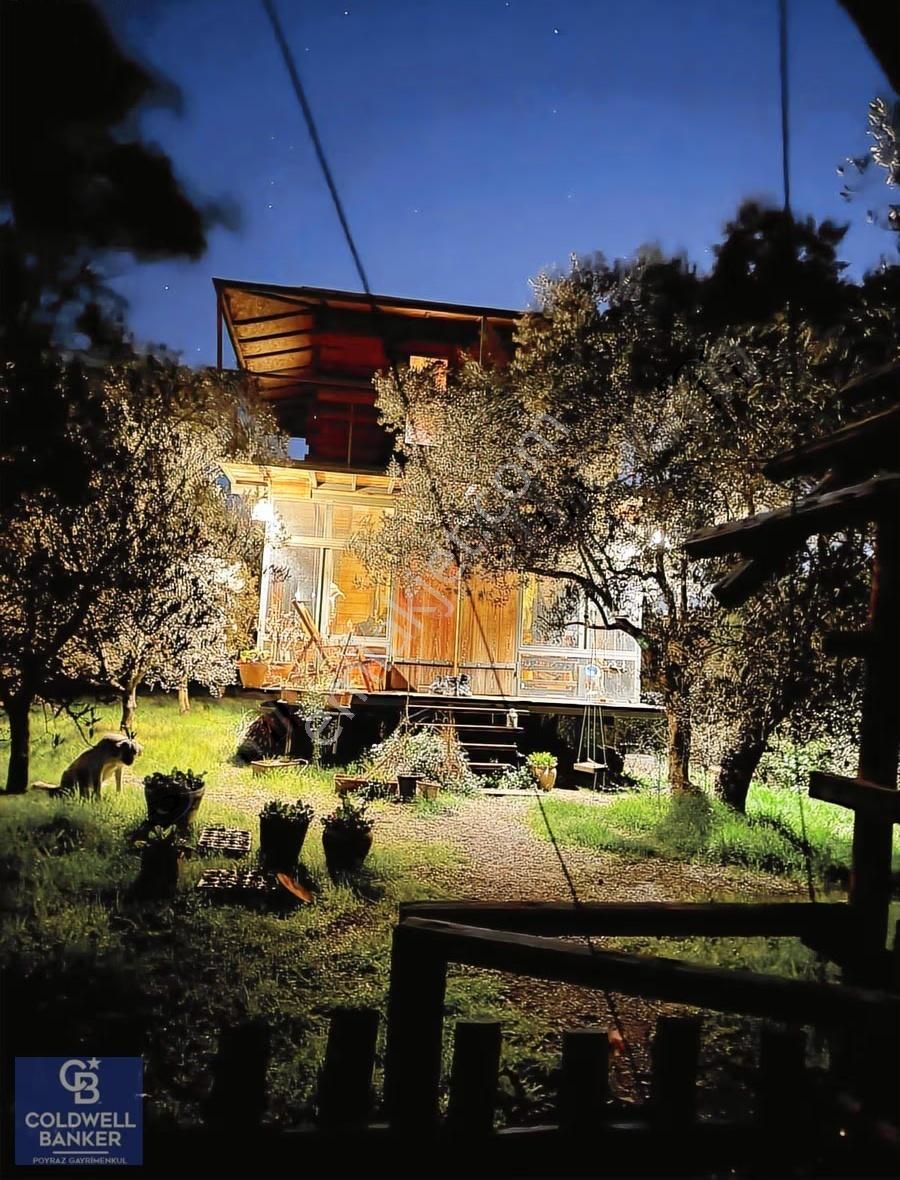 Menderes Coldwell Banker Poyraz'dan Tek Tapulu Zeytinlik - Görsel 19