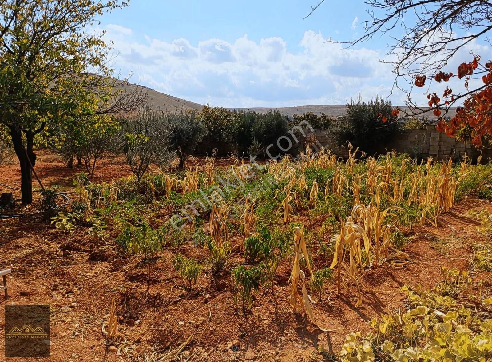 Bağlarbaşı`nın En Gözde Konumunda 1500 M2 Satılık Bağevi - Görsel 7