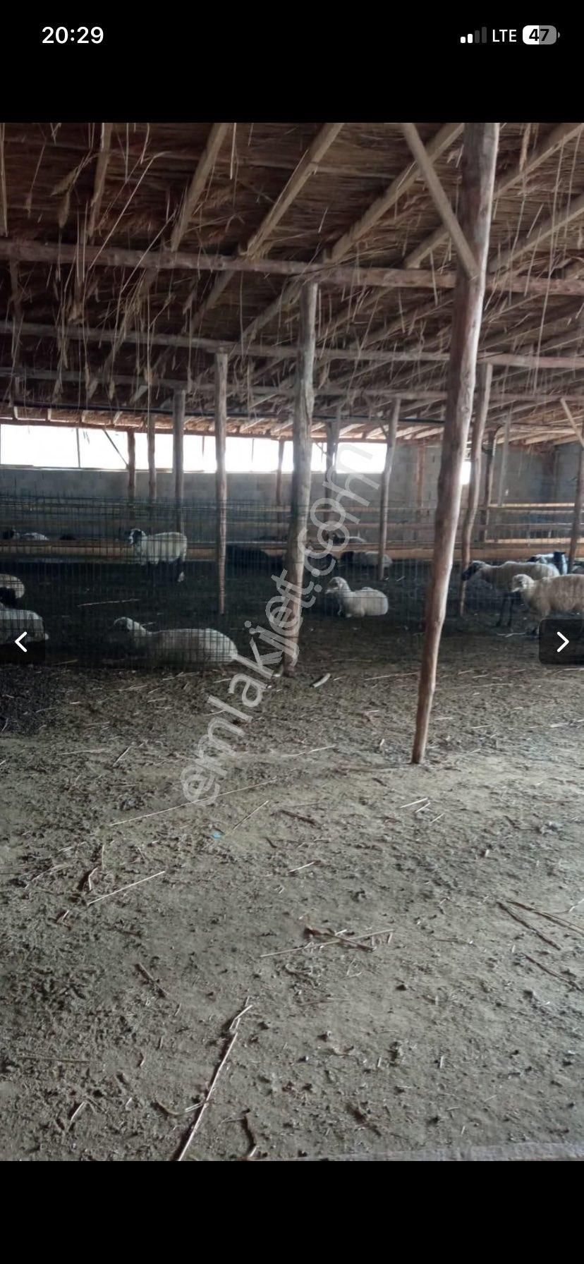 Güneysınırda Kurulu Çardak + Ev - Görsel 22