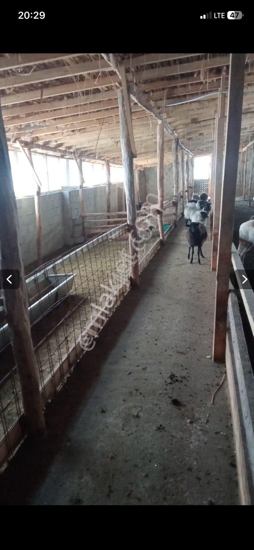 Güneysınırda Kurulu Çardak + Ev - Görsel 23