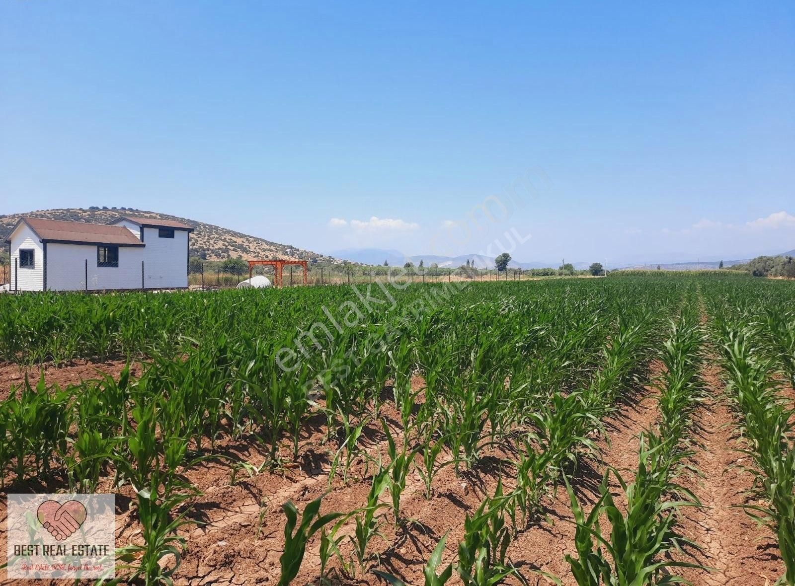 Milas Ağaçlıhüyük Te 4.988m² Resmı Yola Sıfır Fırsat Tarla - Görsel 30