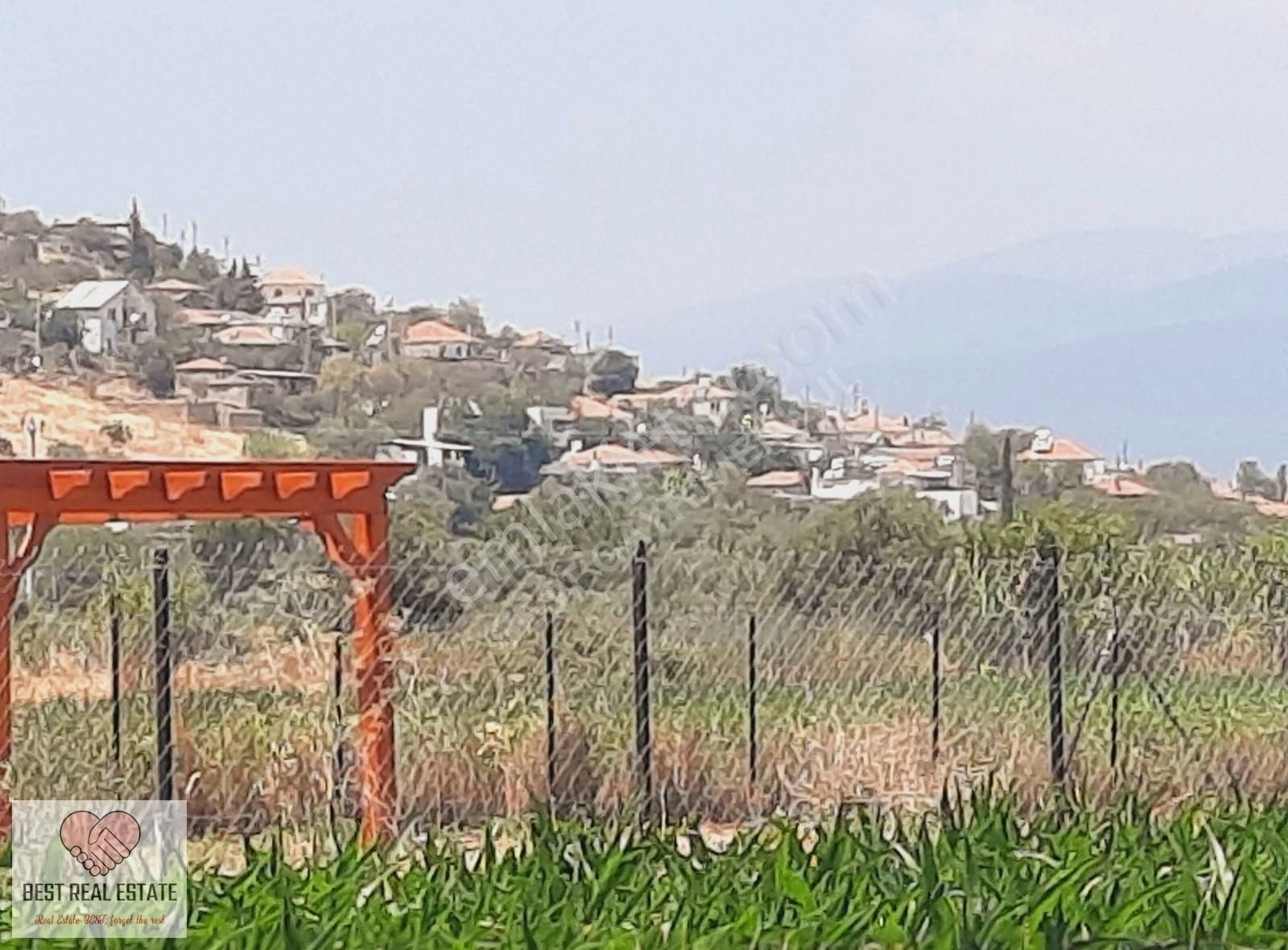 Milas Ağaçlıhüyük Te 4.988m² Resmı Yola Sıfır Fırsat Tarla - Görsel 31