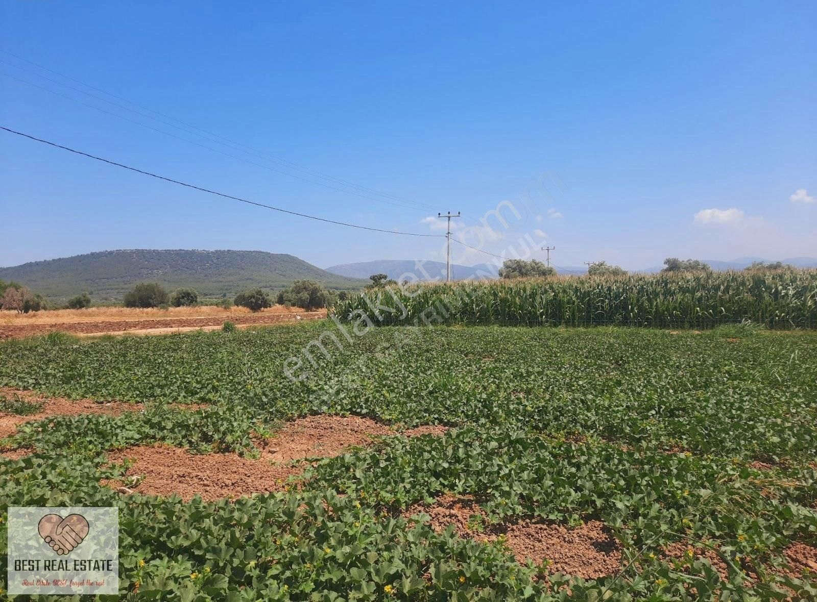 Milas Ağaçlıhüyük Te 4.988m² Resmı Yola Sıfır Fırsat Tarla - Görsel 7