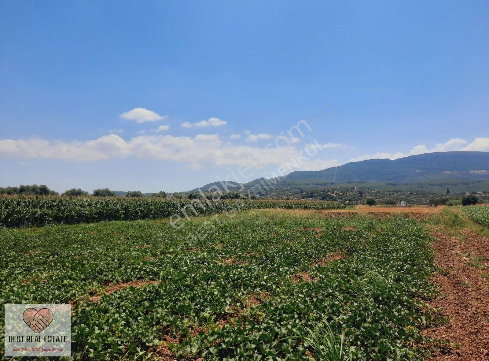 Milas Ağaçlıhüyük Te 4.988m² Resmı Yola Sıfır Fırsat Tarla - Görsel 16