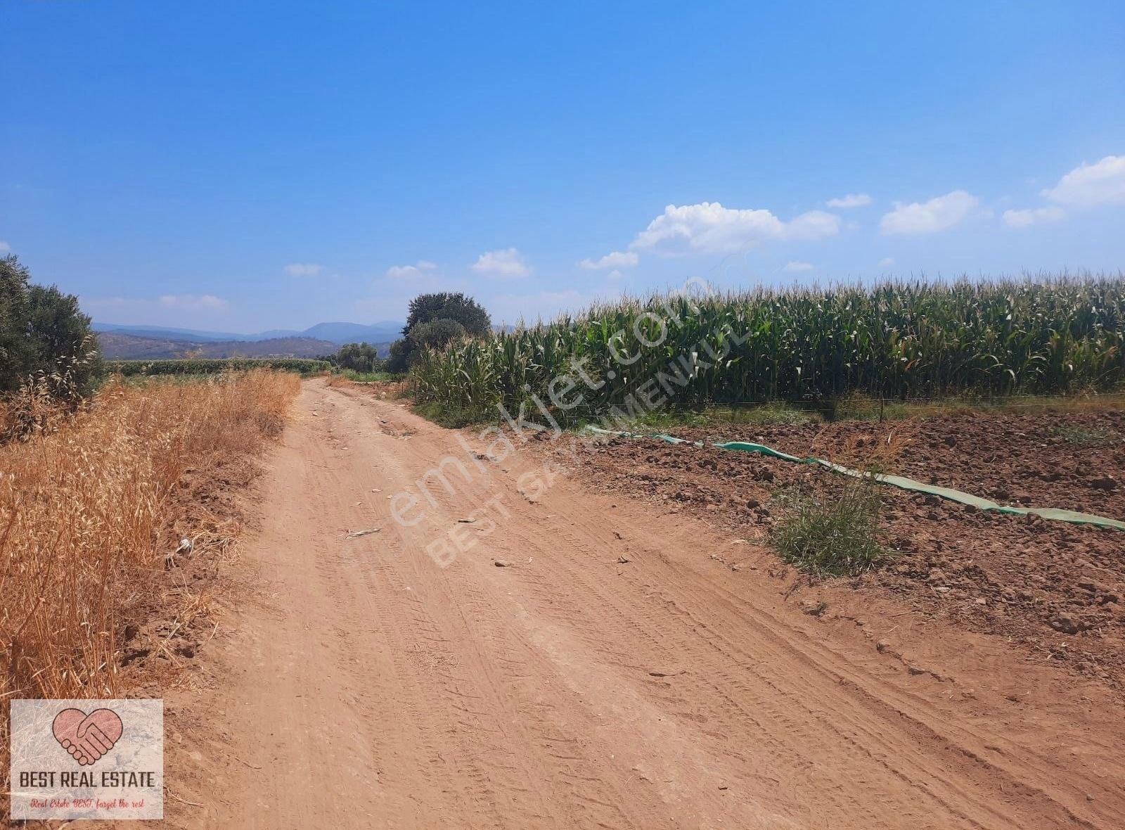 Bodrum Milas Karayolu Üzeri Ağaçlıhüyük Köyünde 4155 M² Tarla - Görsel 7