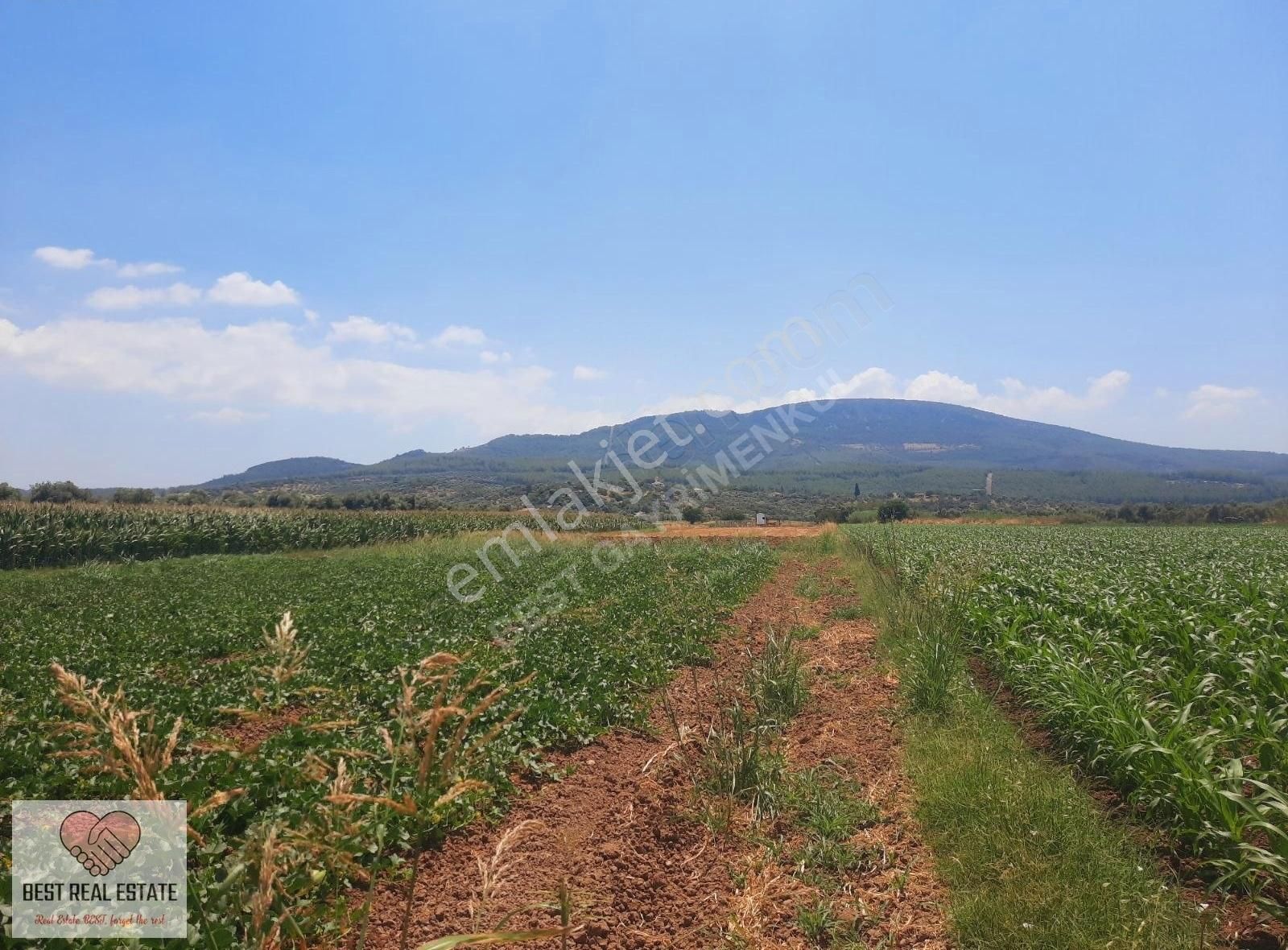 Bodrum Milas Karayolu Üzeri Ağaçlıhüyük Köyünde 4155 M² Tarla - Görsel 28