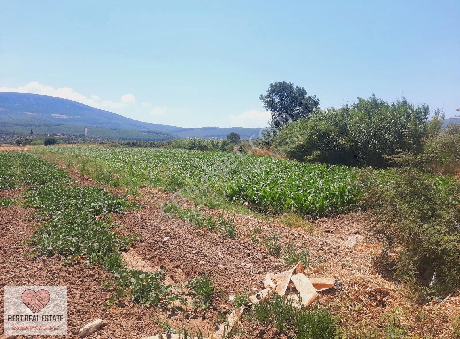 Bodrum Milas Karayolu Üzeri Ağaçlıhüyük Köyünde 4155 M² Tarla - Görsel 33