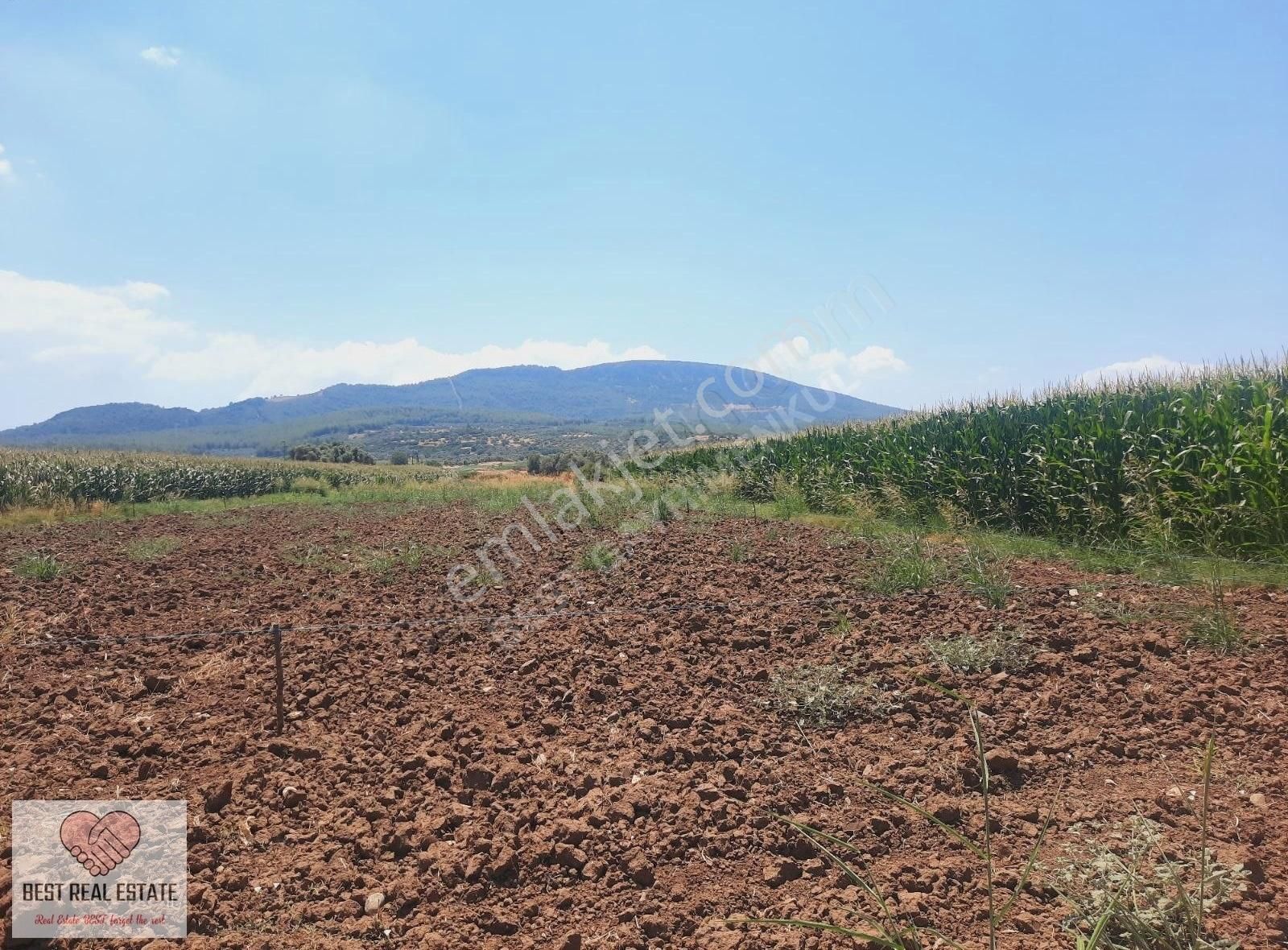 Bodrum Milas Karayolu Üzeri Ağaçlıhüyük Köyünde 4155 M² Tarla - Görsel 20