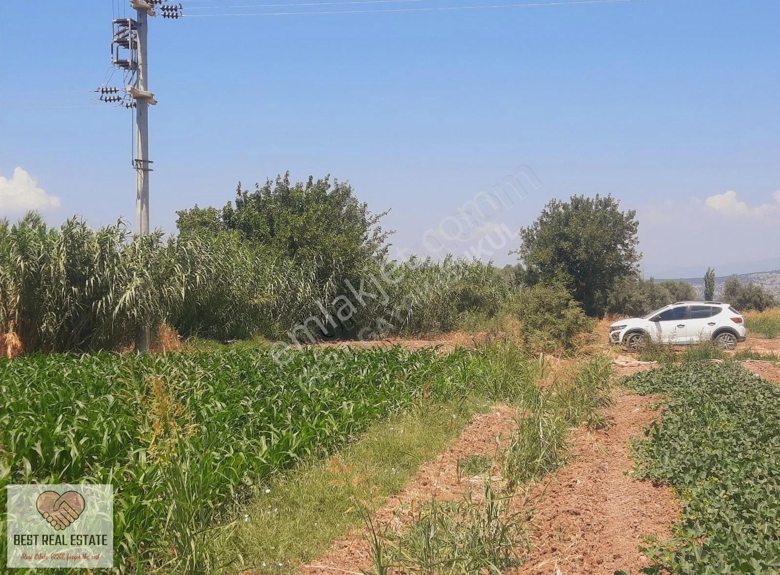 Bodrum Milas Karayolu Üzeri Ağaçlıhüyük Köyünde 4155 M² Tarla - Görsel 8