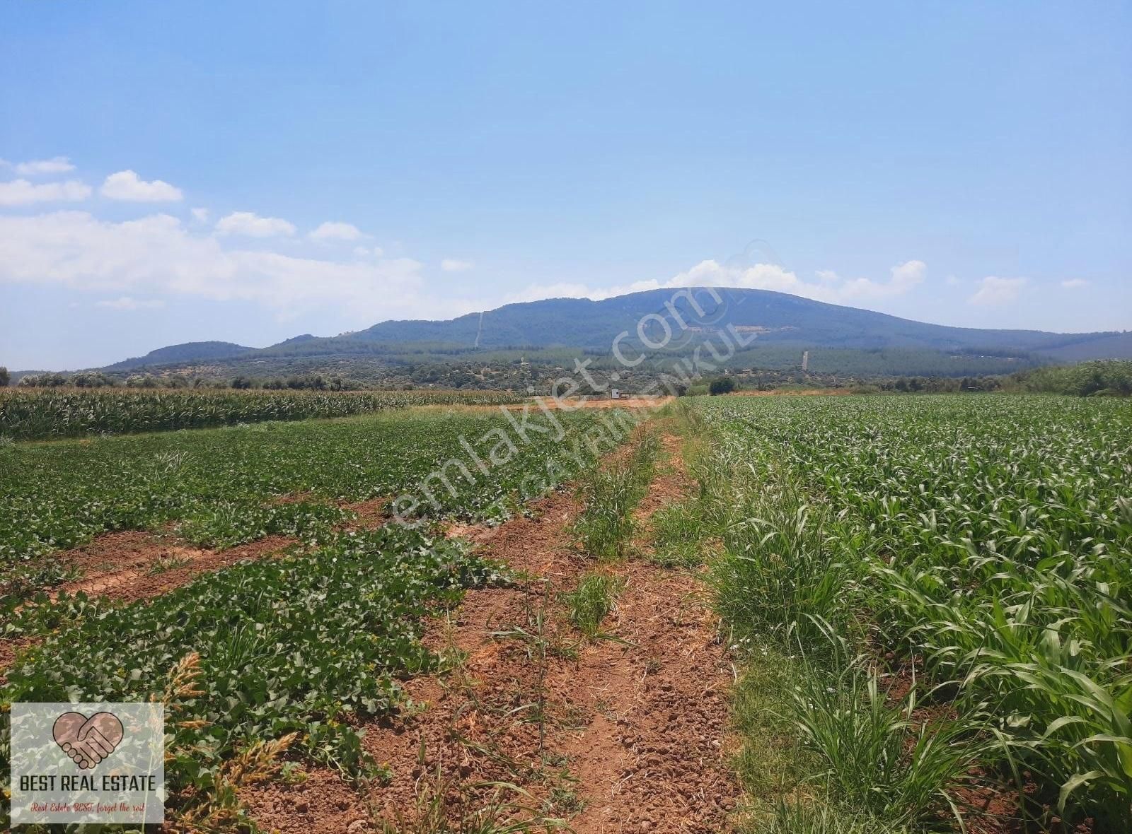 Bodrum Milas Karayolu Üzeri Ağaçlıhüyük Köyünde 4155 M² Tarla - Görsel 21