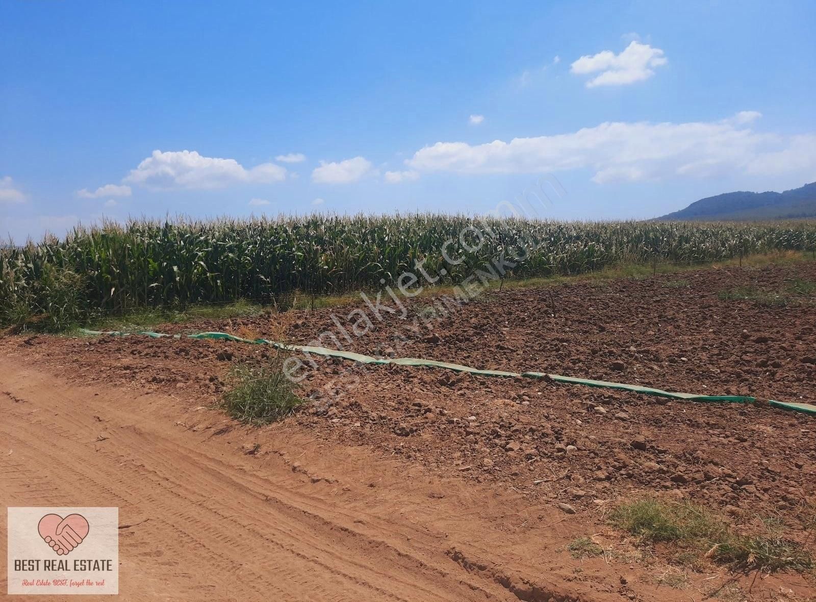 Bodrum Milas Karayolu Üzeri Ağaçlıhüyük Köyünde 4155 M² Tarla - Görsel 14