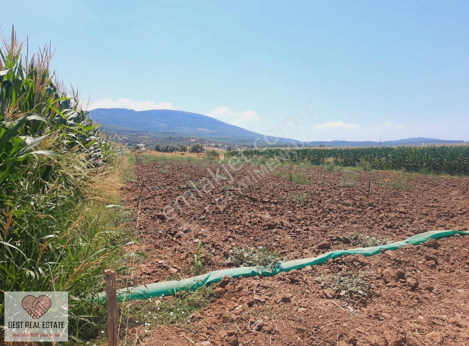 Bodrum Milas Karayolu Üzeri Ağaçlıhüyük Köyünde 4155 M² Tarla - Görsel 18