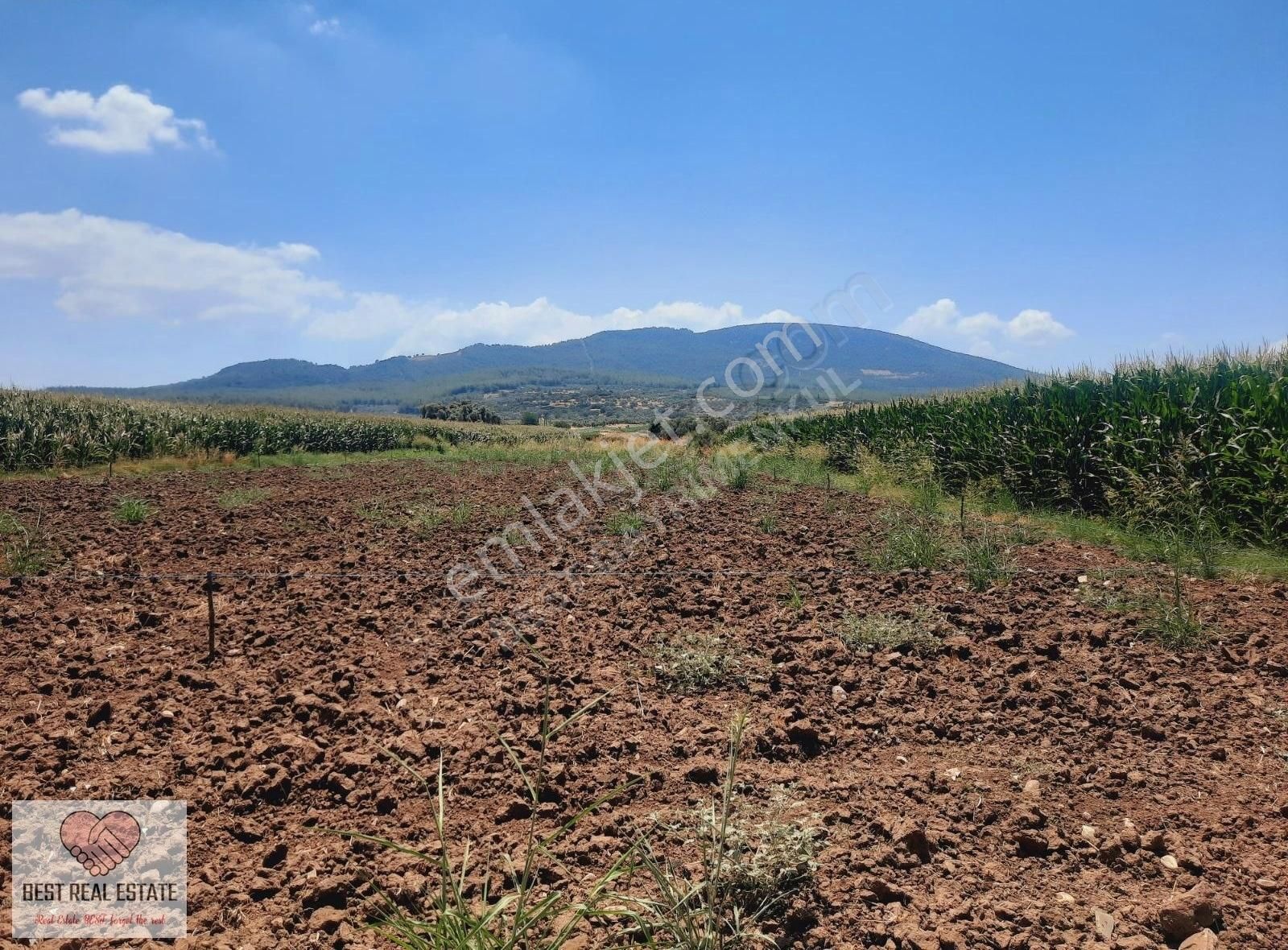 Bodrum Milas Karayolu Üzeri Ağaçlıhüyük Köyünde 4155 M² Tarla - Görsel 9