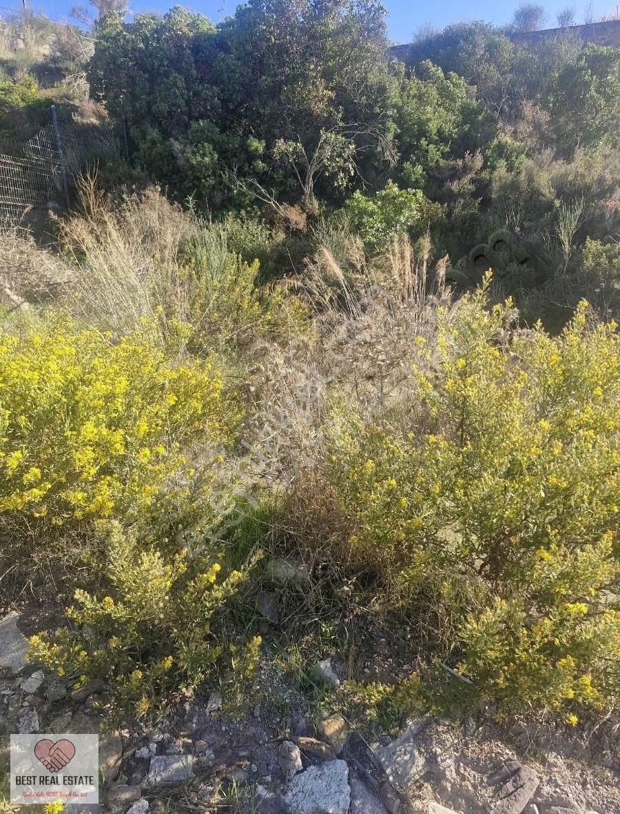 Muğla Milas Boğaziçi Deniz Manzaralı Satılık Arsa - Görsel 25