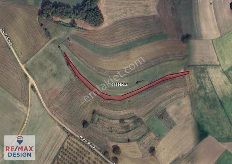 Sakarya Adapazarı Salmanınlı'da 1820 M² Yatırımlık Tarla