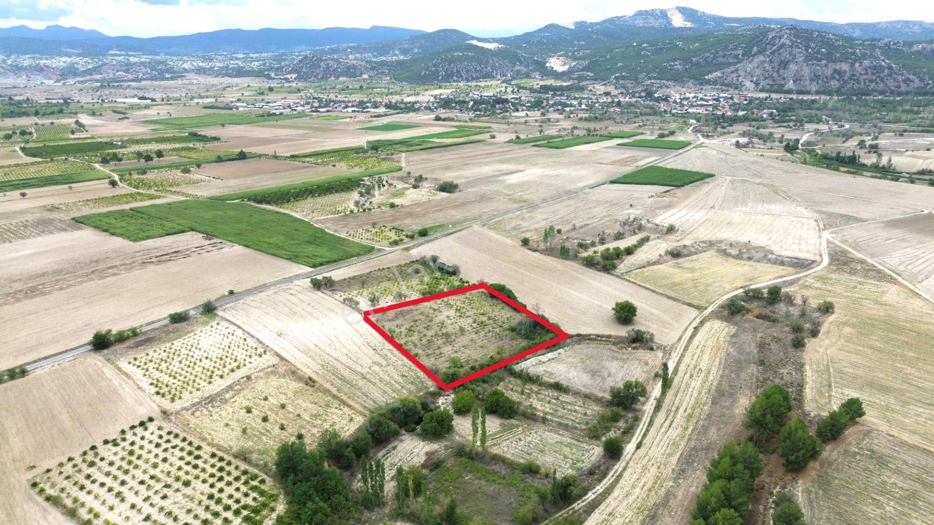 Burdur Merkez Hacılar 7 Dönüm Üzüm Bağı Yatırımlık - Görsel 6