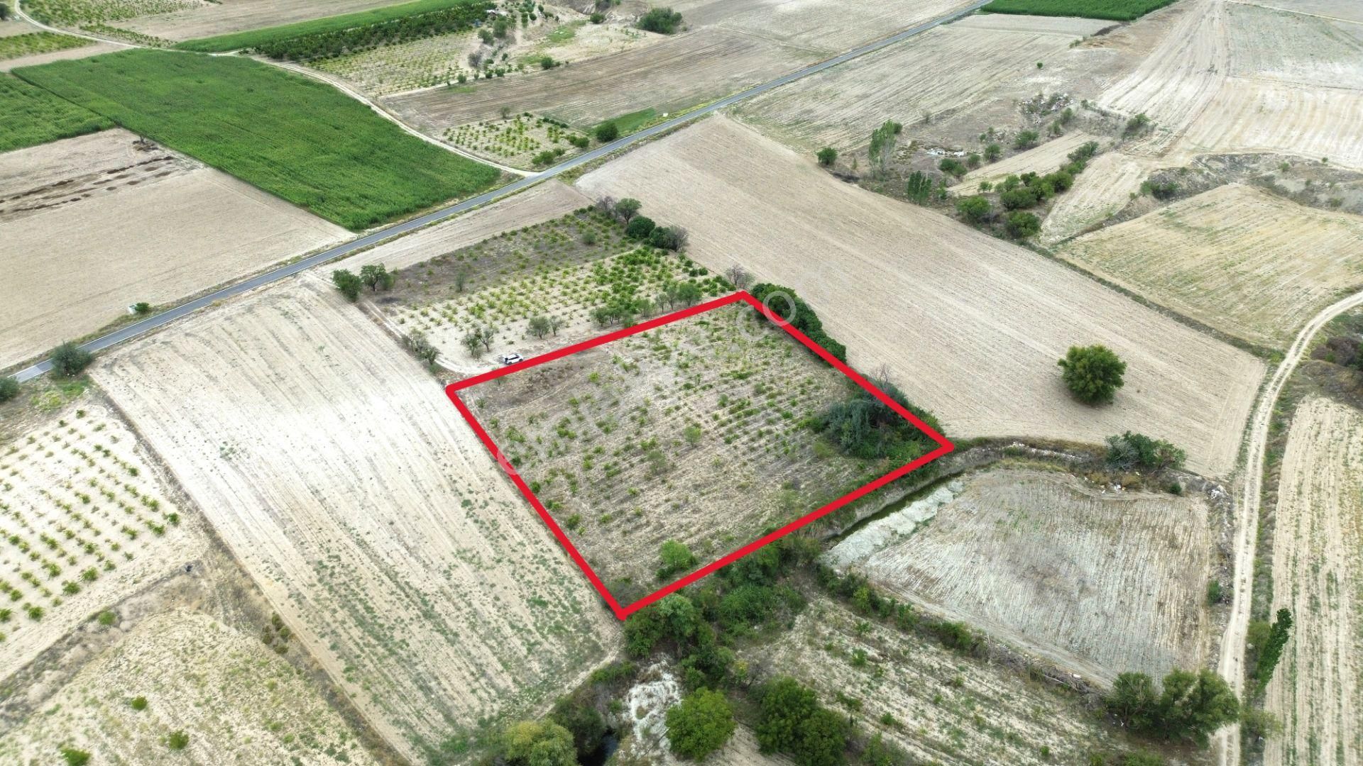 Burdur Merkez Hacılar 7 Dönüm Üzüm Bağı Yatırımlık - Görsel 5