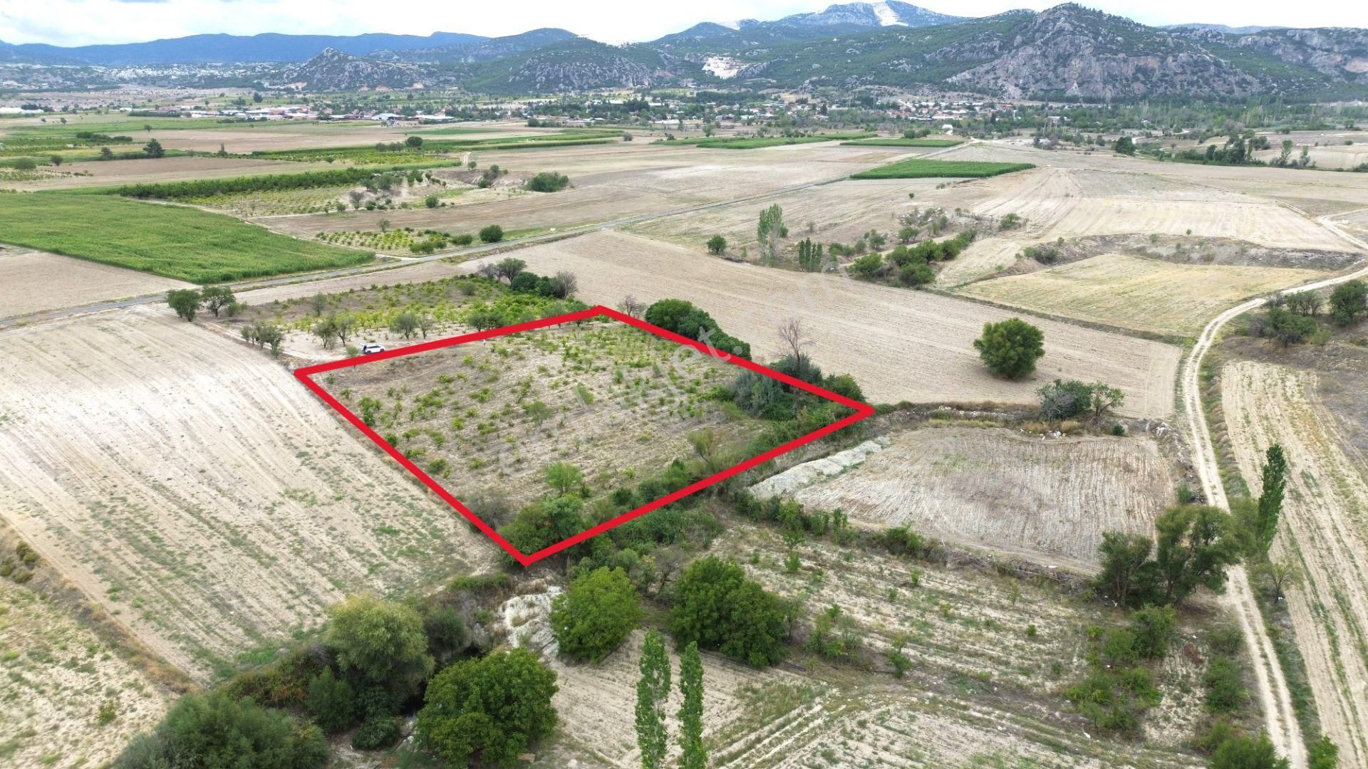 Burdur Merkez Hacılar 7 Dönüm Üzüm Bağı Yatırımlık