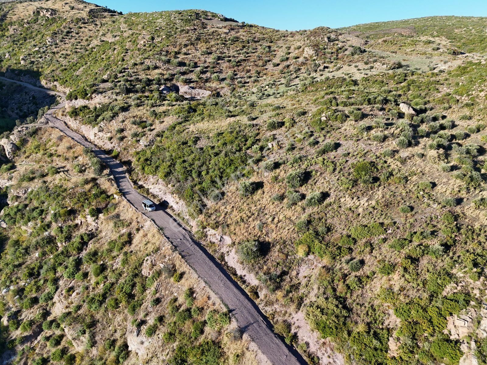 Yatırım İçin Fırsat: Milas Akçakayada 12.433 M² Zeytinli Tarla - Görsel 27