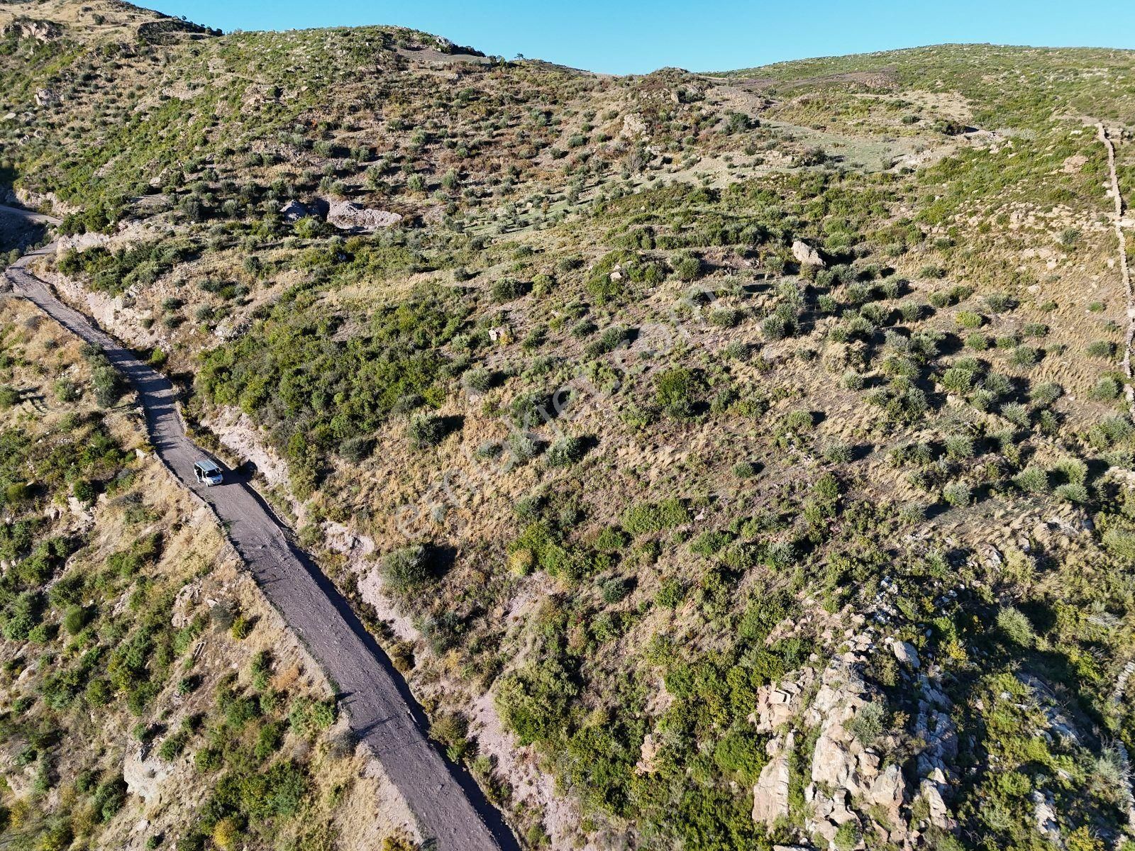 Yatırım İçin Fırsat: Milas Akçakayada 12.433 M² Zeytinli Tarla - Görsel 30