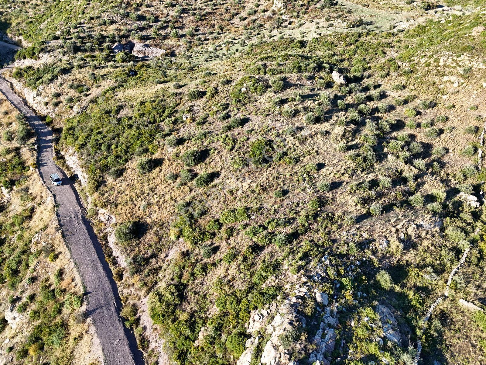 Yatırım İçin Fırsat: Milas Akçakayada 12.433 M² Zeytinli Tarla - Görsel 35