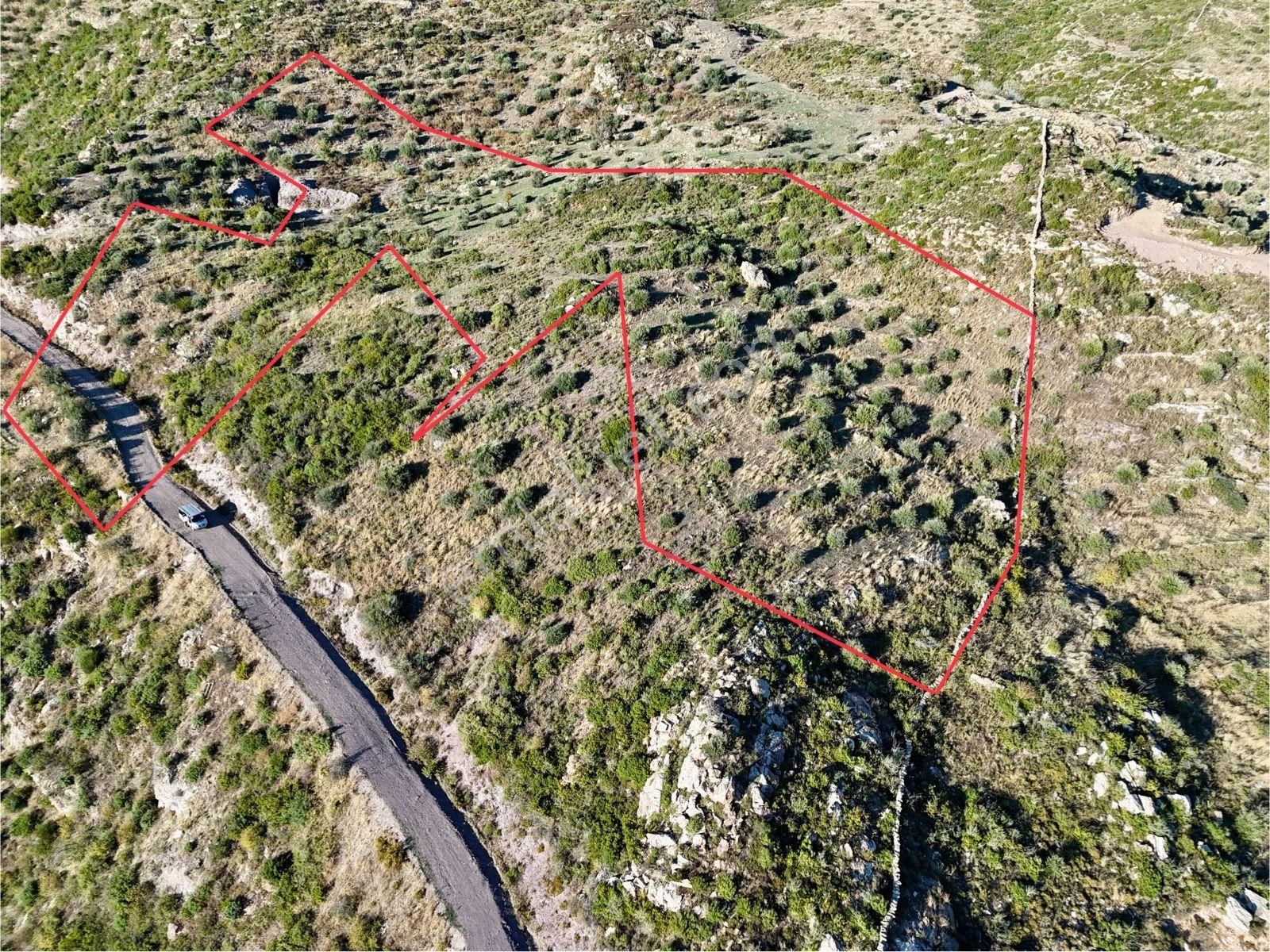 Yatırım İçin Fırsat: Milas Akçakayada 12.433 M² Zeytinli Tarla - Görsel 5