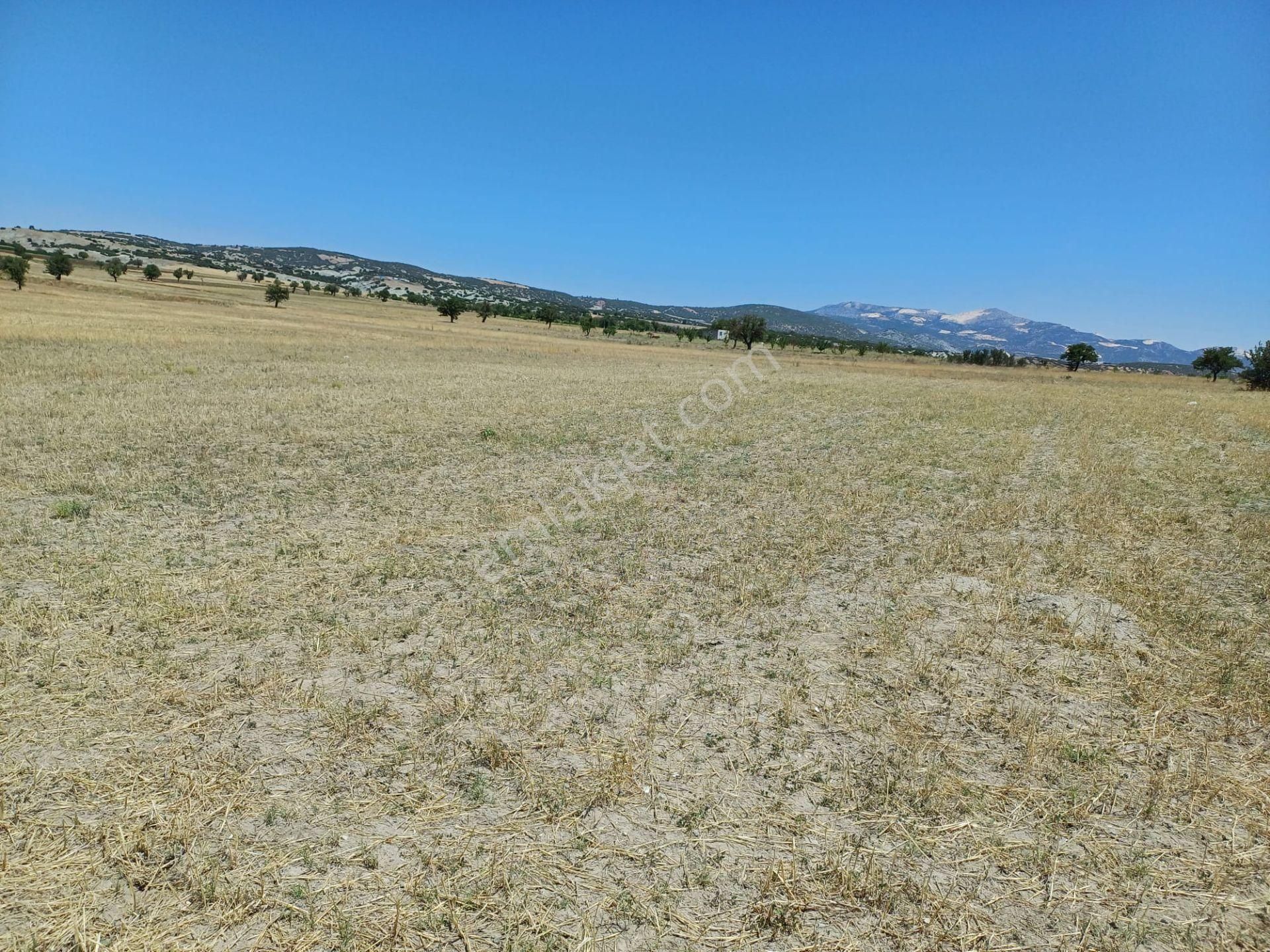 Burdur Yeşilova Harmanlı 5 Dönüme Yakın Yatırımlık Tarla - Görsel 3