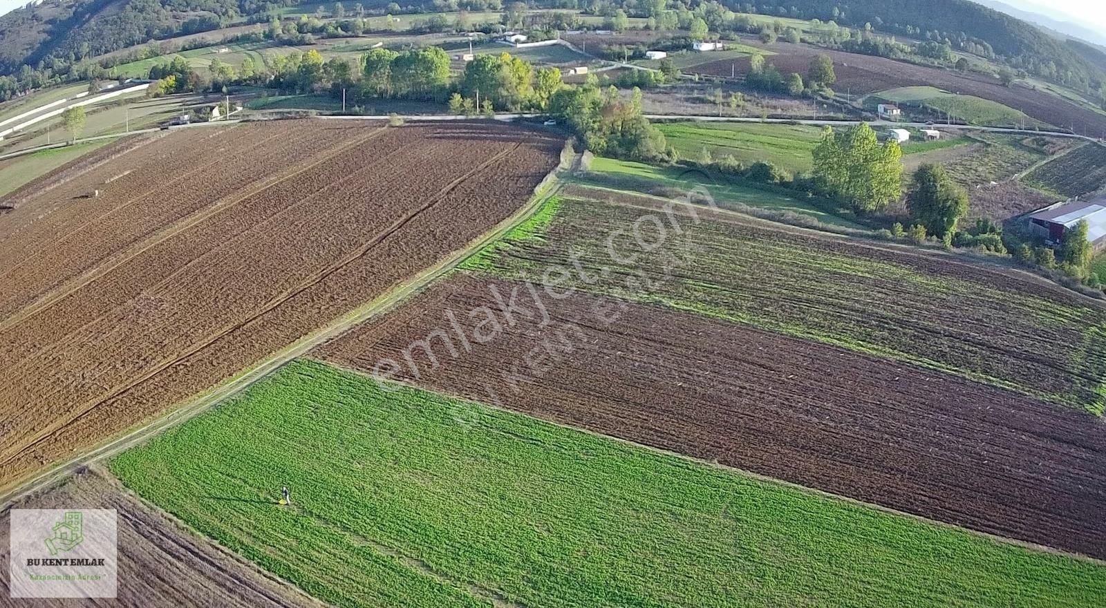 Aşırlarda Resmi Yollu Asfalt Yola Yakın 5391 M2 Yatırımlık Tarla - Görsel 3