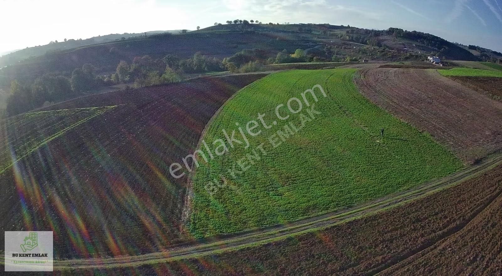 Aşırlarda Resmi Yollu Asfalt Yola Yakın 5391 M2 Yatırımlık Tarla - Görsel 7