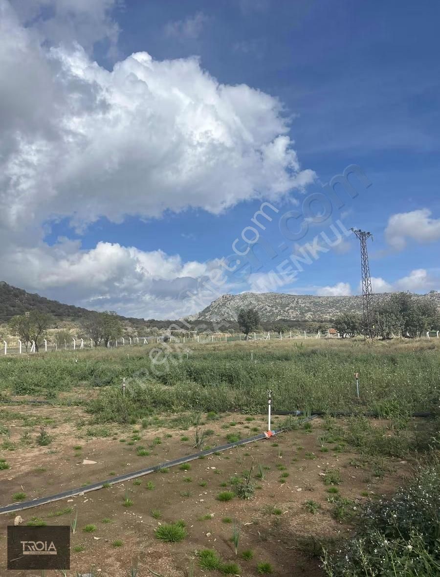 Uluköyde %5 İmarlı Asfalt Yola Cephe 5.195m2 Tarla - Görsel 3