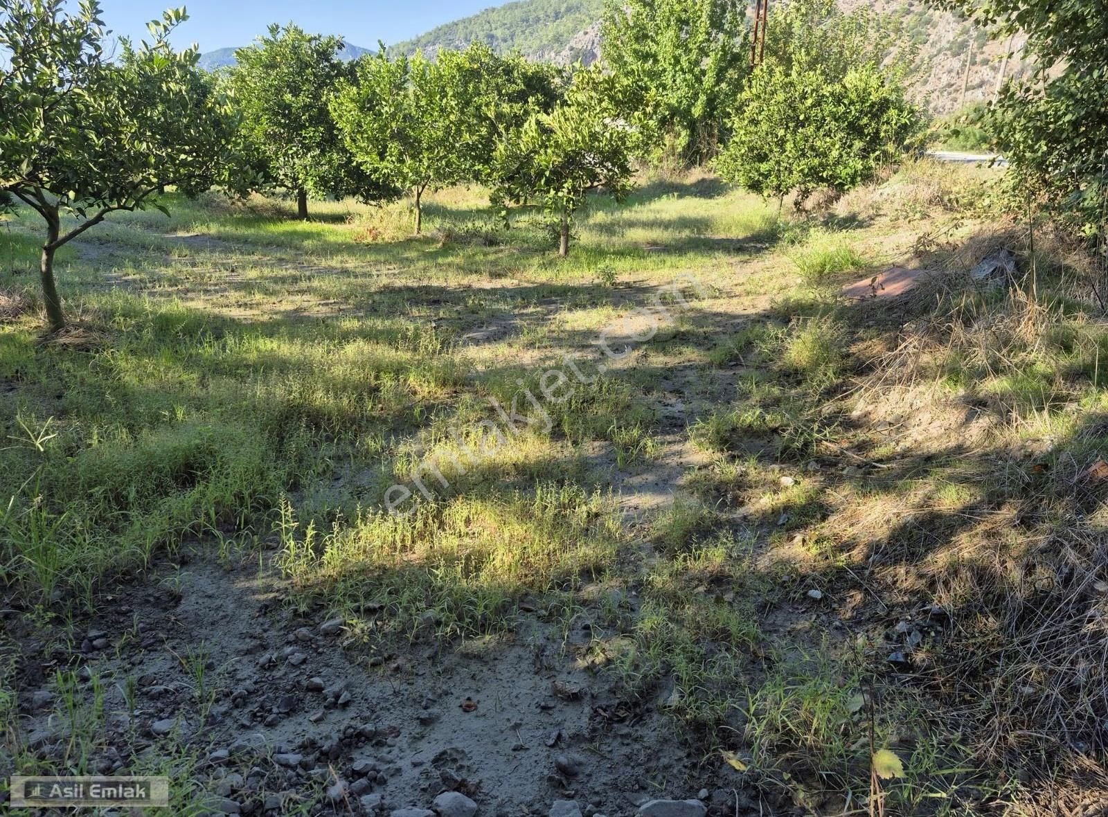 Asil Emlaktan Ortaca Yeşilyurt Mah.de Satılık Arsa - Görsel 29
