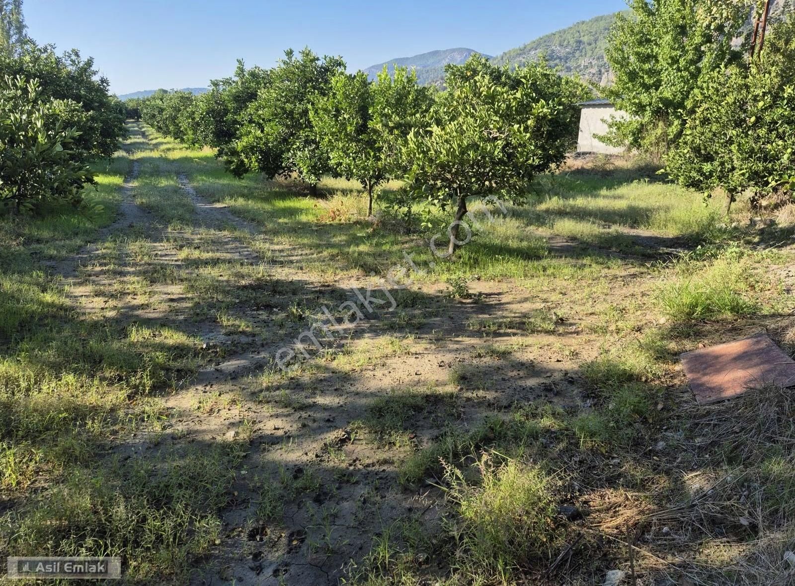 Asil Emlaktan Ortaca Yeşilyurt Mah.de Satılık Arsa - Görsel 17